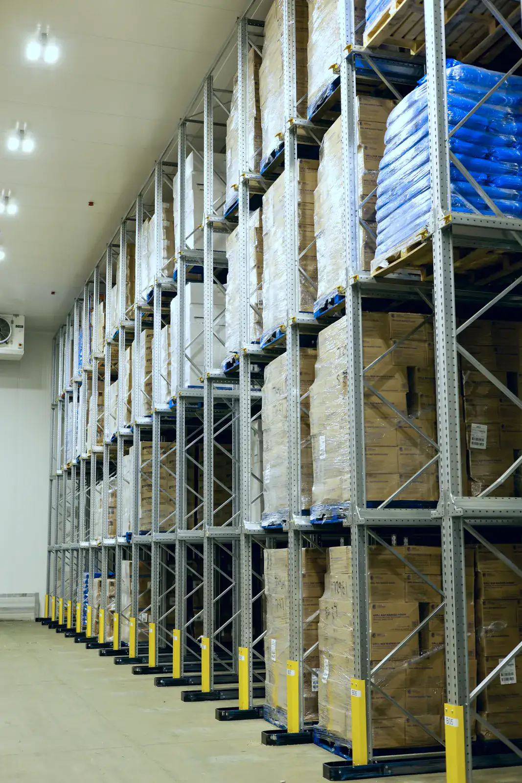 Deep lane racking with upright protectors in a cold store